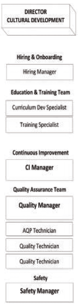 Figure 5 Under the new structure the director of cutural development manages several related areas: hiring and onboarding, education and training, continuous improvement, quality assurance, and safety.